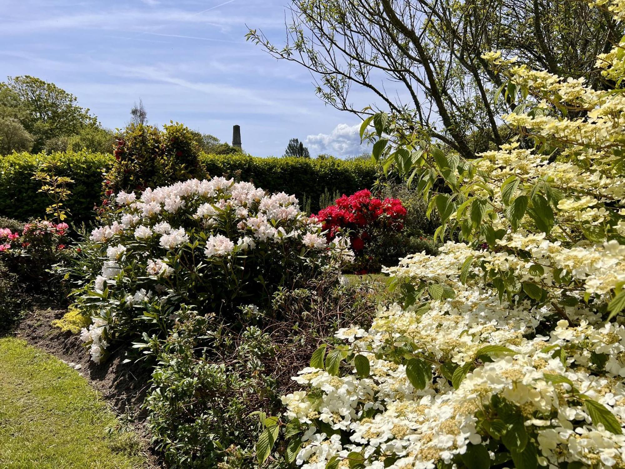 Tresowes Helston